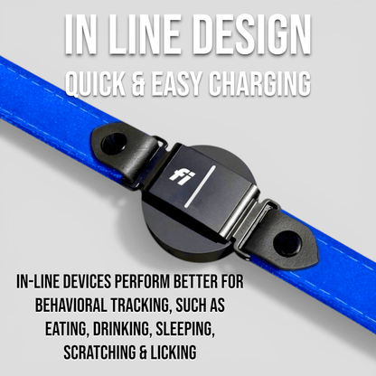 Luxe Velvet Fi-Compatible Dog Collar - Fi GPS Included