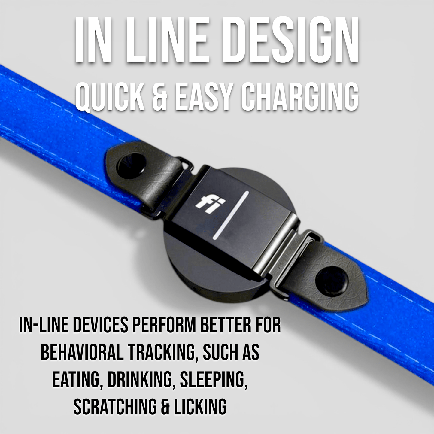 Luxe Velvet Fi-Compatible Dog Collar