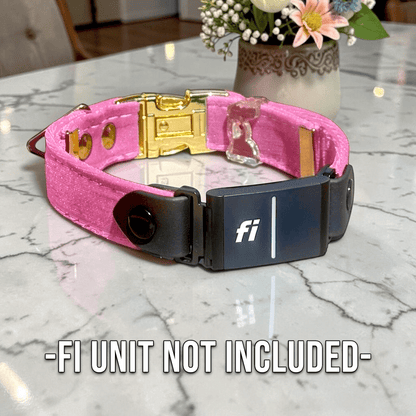 Luxe Velvet Fi-Compatible Dog Collar