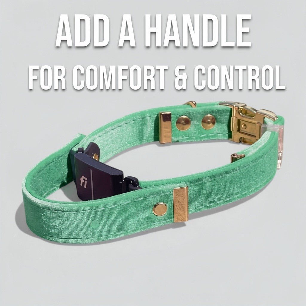 Luxe Velvet Fi-Compatible Dog Collar
