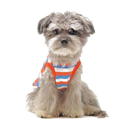 You Are Loved Pet Tee - Blue