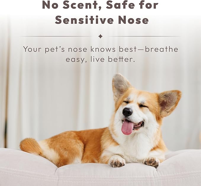 Pet Odor Eliminator Spray – Instantly Destroys Odors & Pet Smells by Innovated Ti-Oxy™. Non-toxic, Fragrance-free & Safe for Pets, Home Use. Works on Urine, Litter Boxes, Carpets -10oz