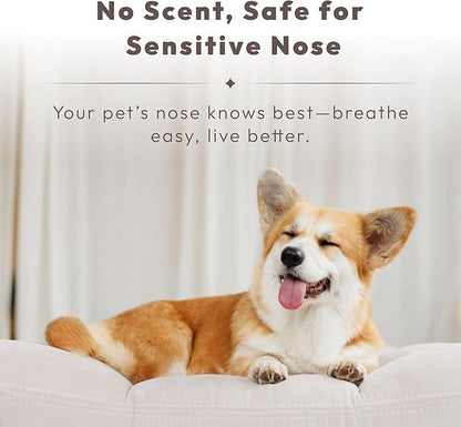 Pet Odor Eliminator Spray – Instantly Destroys Odors & Pet Smells by Innovated Ti-Oxy™. Non-toxic, Fragrance-free & Safe for Pets, Home Use. Works on Urine, Litter Boxes, Carpets -10oz