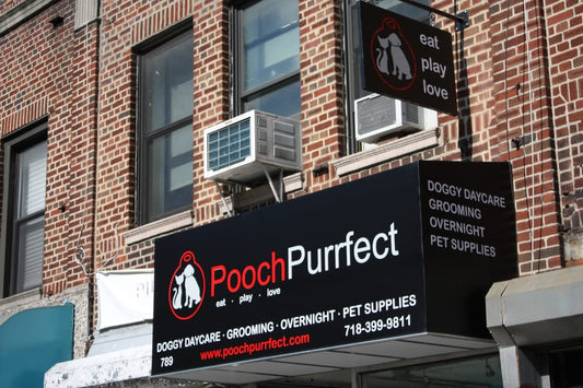 Pooch Purrfect