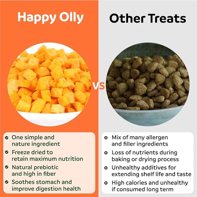Happy Olly Single Ingredient Freeze Dried Pumpkin Bits