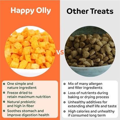 Happy Olly Single Ingredient Freeze Dried Pumpkin Bits