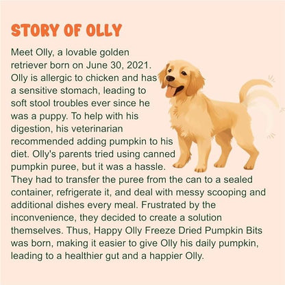 Happy Olly Single Ingredient Freeze Dried Pumpkin Bits