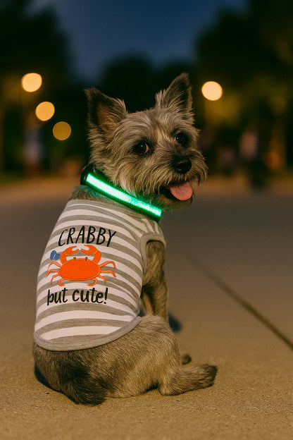 Parisian Pet 'Crabby But Cute Tee' Embroidered Dog Shirt - Trendy Pet Apparel for Dogs & Cats, Gray and White Stripes