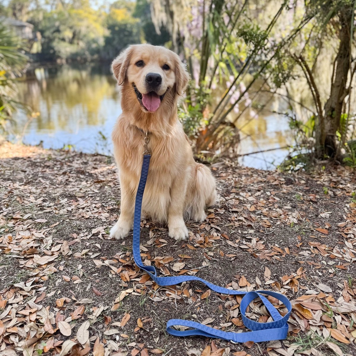 Pet Leash- Checkered Wave