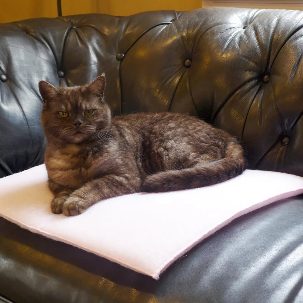 PurrPadd® Cat Bed