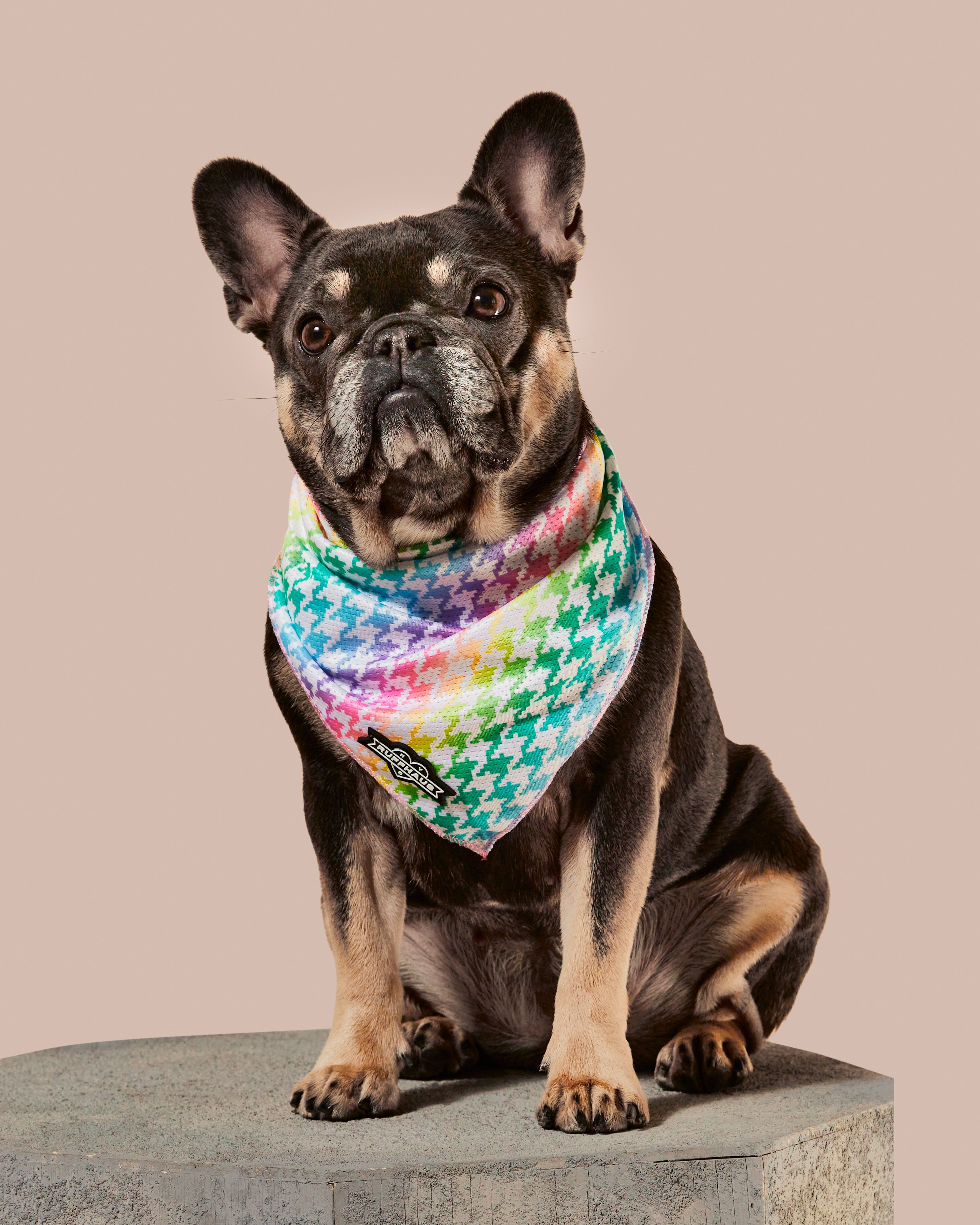 Rainbowtooth Cooling Bandana