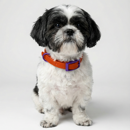 Jelly Collar - Waterproof Collar For Small Dogs