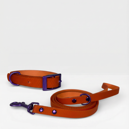 Jelly Waterproof Collar and Leash Set for Small Dogs