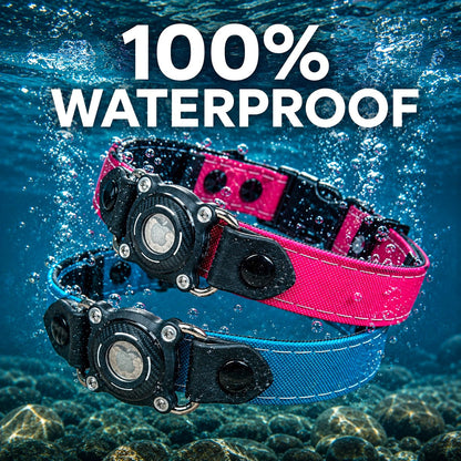 Rugged Collection Collars - Durable & Waterproof