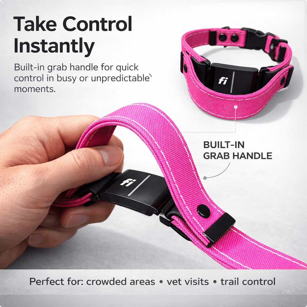 Rugged Fi-Compatible Dog Collar - Fi GPS Included