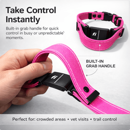 Rugged Fi-Compatible Dog Collar - Fi GPS Included