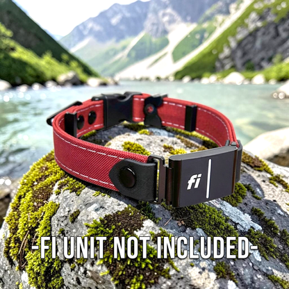 Rugged Fi-Compatible Dog Collar