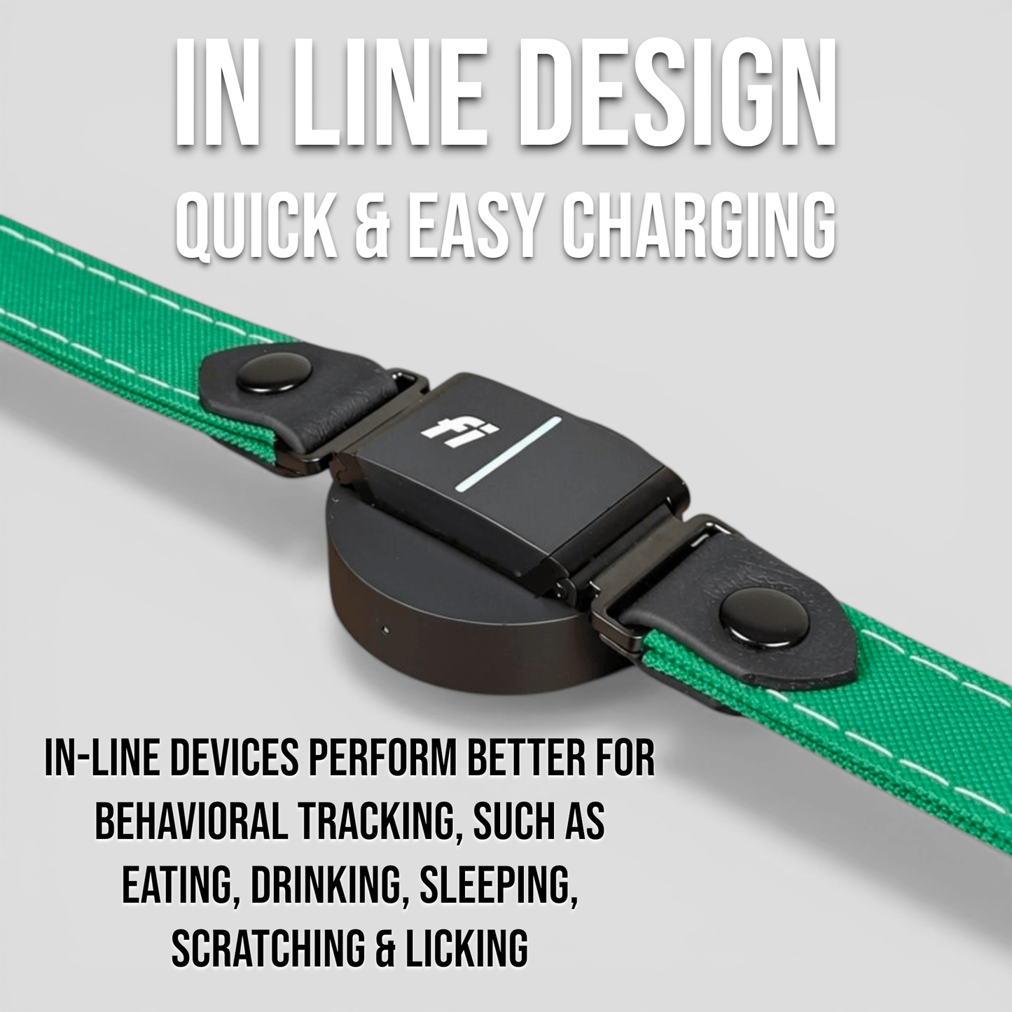 Rugged Fi-Compatible Dog Collar - Fi GPS Included