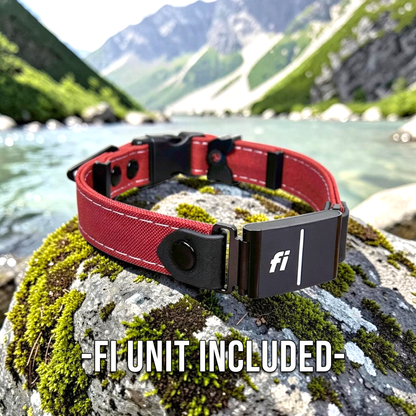 Rugged Fi-Compatible Dog Collar - Fi GPS Included