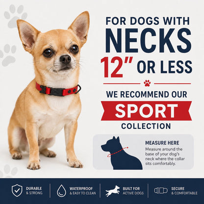 Rugged Collection Collars - Durable & Waterproof