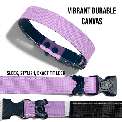 Rugged Waterproof Dog Collar - Lilac