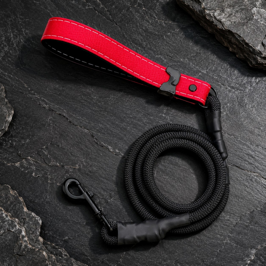 Rugged Collection Leashes