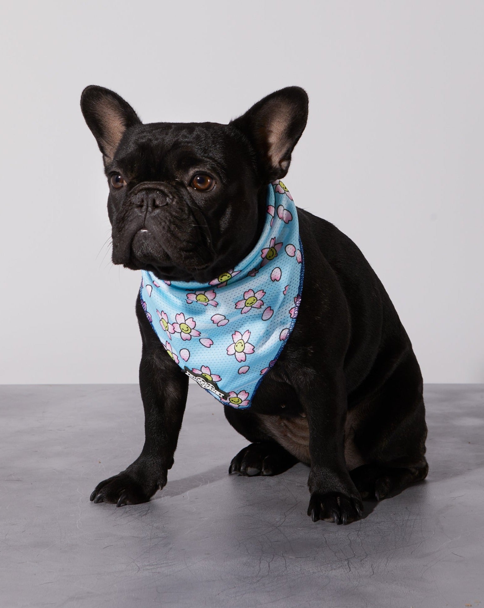 Smiling Sakura Cooling Bandana