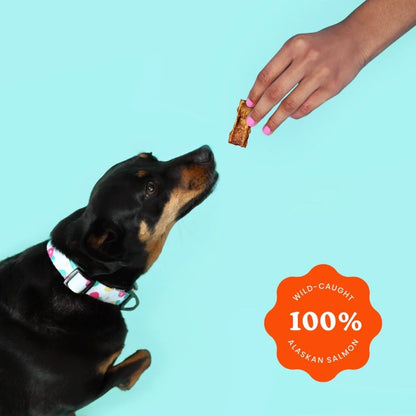 Ava's Pet Palace Crunchy Jerky Dog Treats - Snappin' Salmon ( 6-Pack on Hanging Clip Strips )