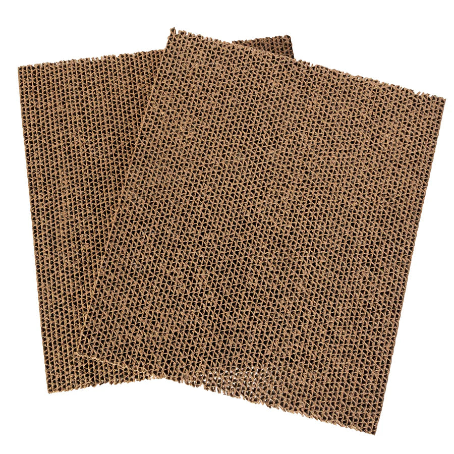 Hide & Scratch Refill (2-Pack) (Case of 14)