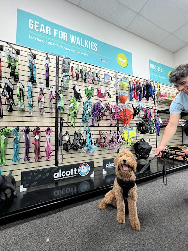 The Healthy Pet House