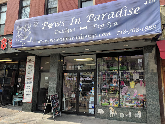 Paws In Paradise NYC