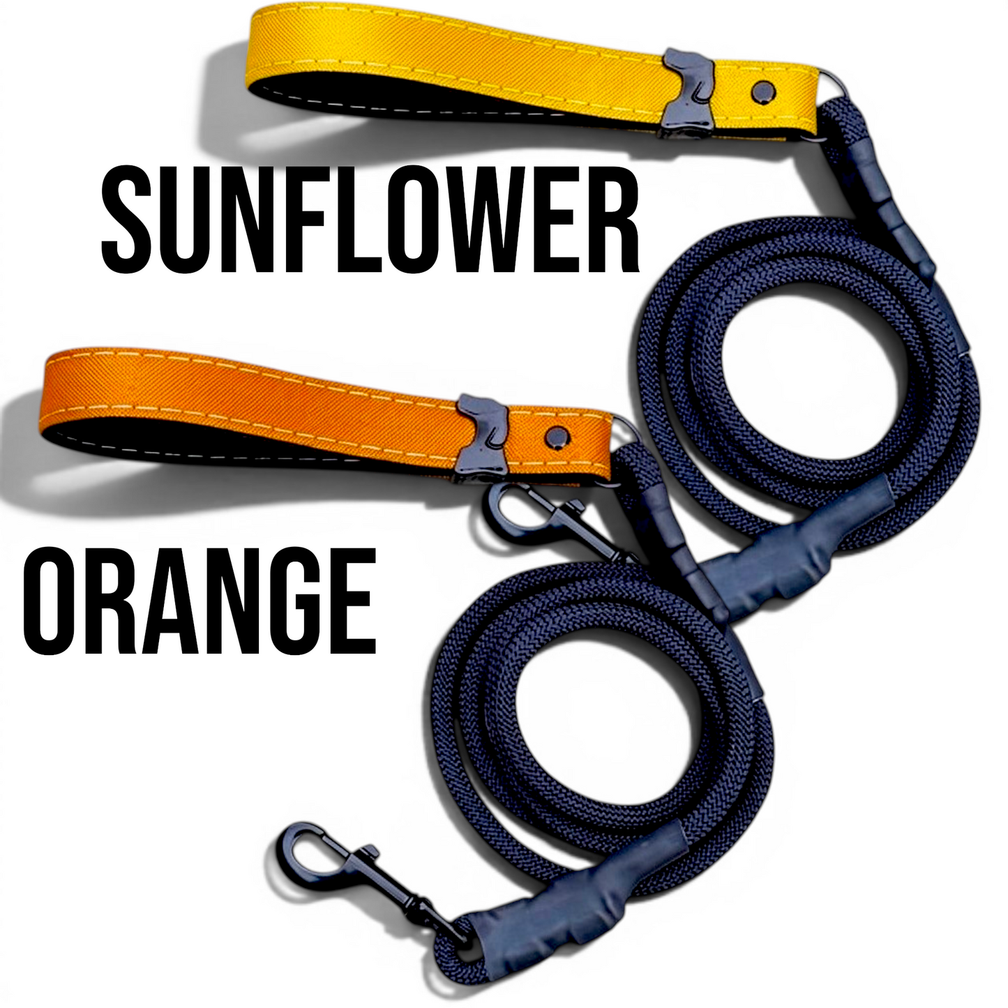 Rugged Collection Leashes