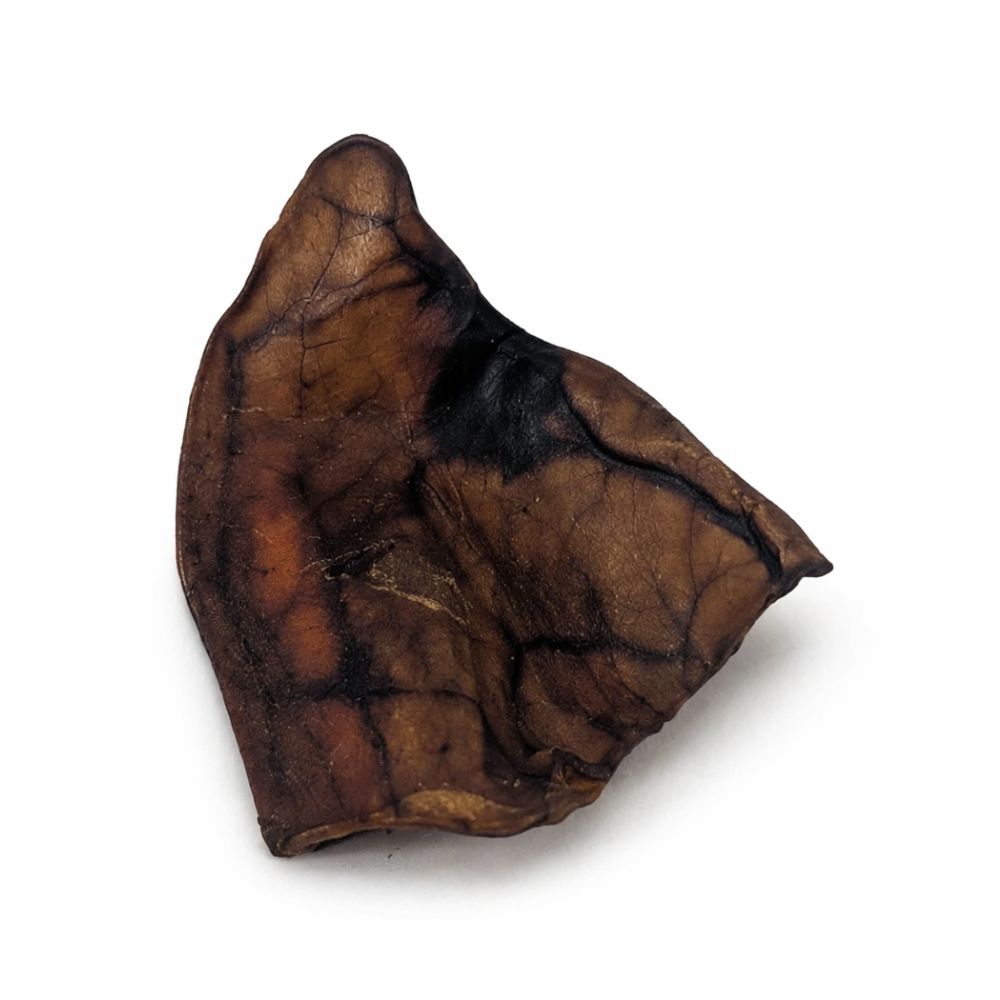 Smoked Medium Pig Ears – Bulk All-Natural Dog Chews (25-pack)