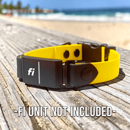 Sport Fi-Compatible Dog Collar