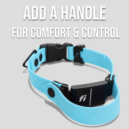 Sport Fi-Compatible Dog Collar
