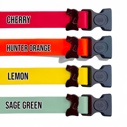 Sport Fi-Compatible Dog Collar - Fi GPS Included