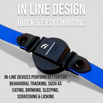 Sport Fi-Compatible Dog Collar - Fi GPS Included
