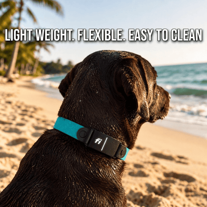 Sport Fi-Compatible Dog Collar - Fi GPS Included
