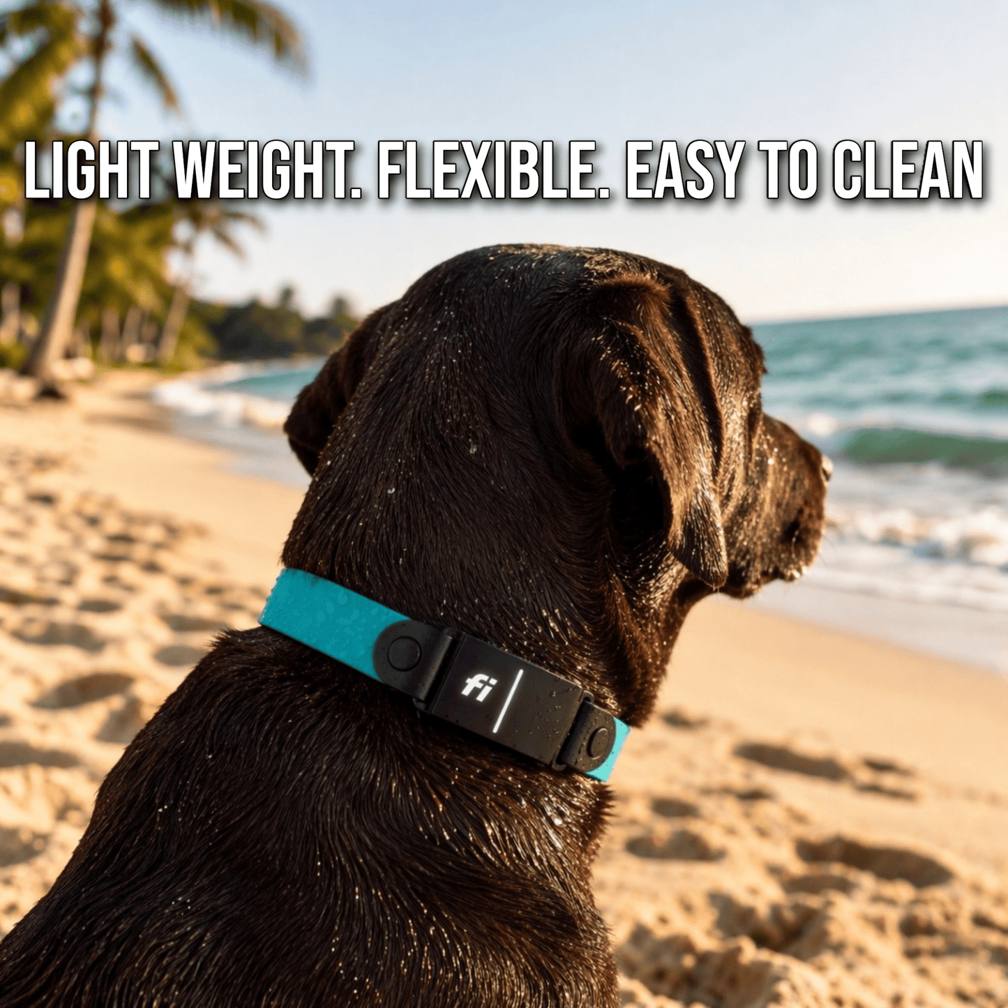 Sport Fi-Compatible Dog Collar