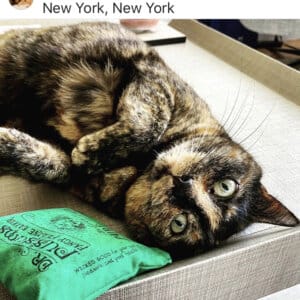 Soft Square Pillows