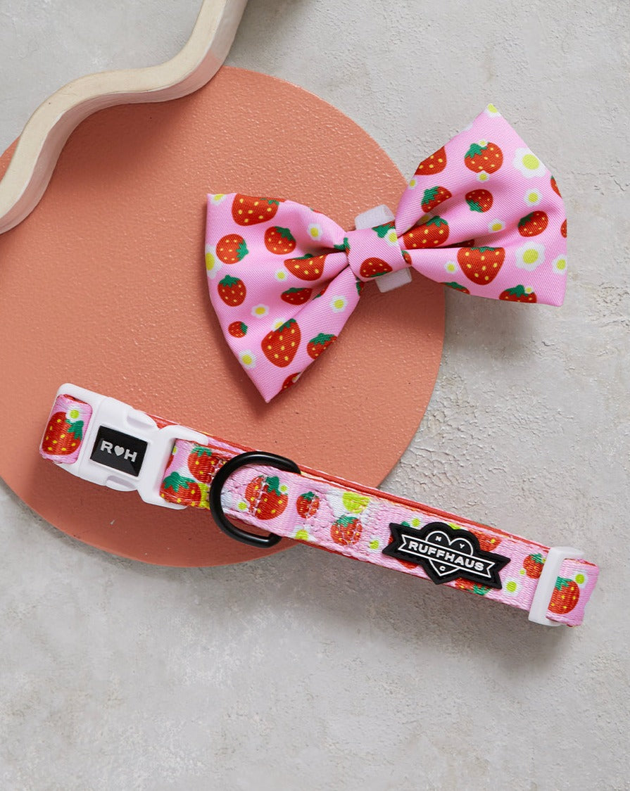 Strawberry Collar & Bowtie