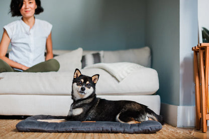 Coastal Series Chill Pad