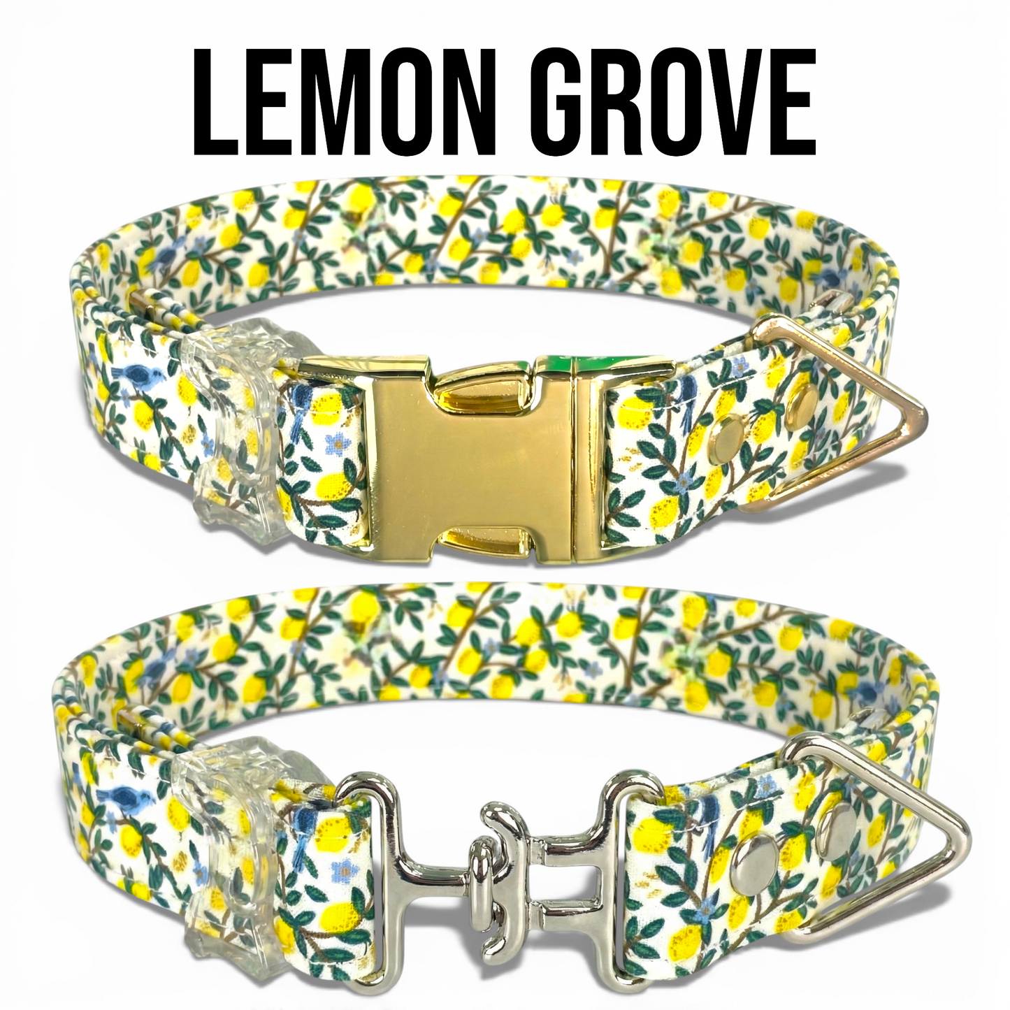 Classic Collection Collars- Stylish Designs