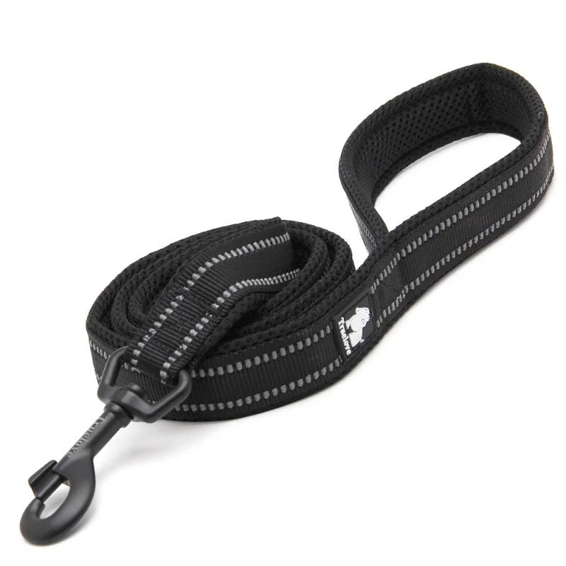 Truelove Walk leash - TLL2111