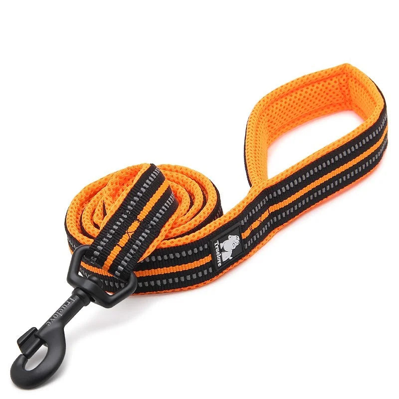 Truelove Walk leash - TLL2111