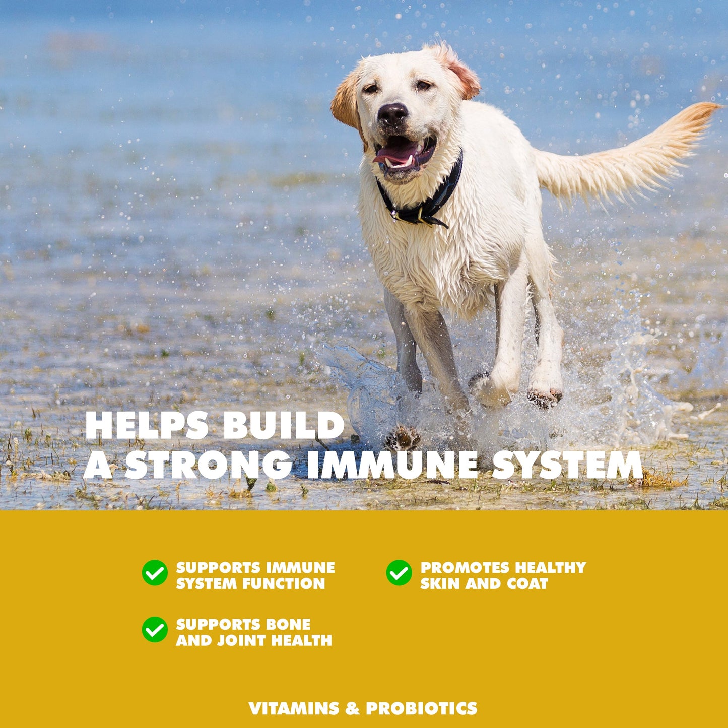 UBAVET MULTIVIT Daily Vitamin and Mineral Tablet for Dogs (90 ct)