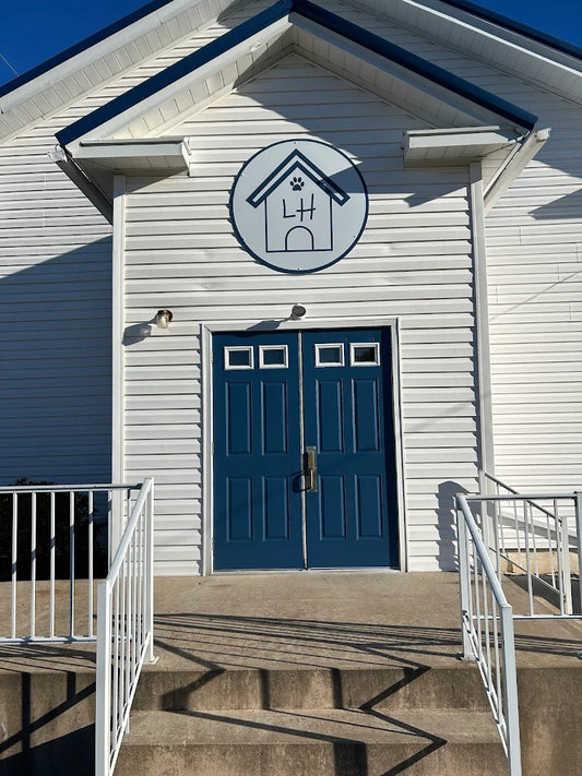 Lily's House