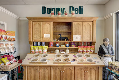 All About Dogs & Cats