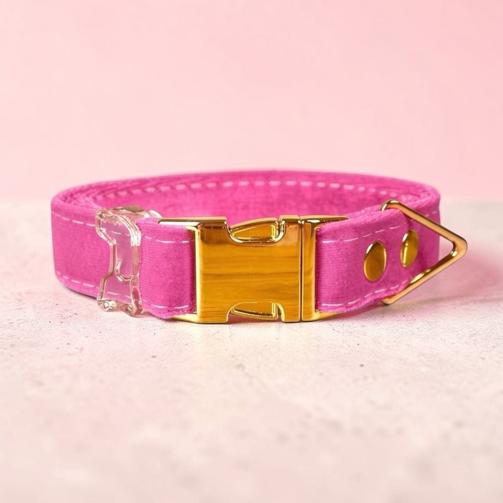 Classic & Luxe AirTag Dog Collar | Built-In Holder