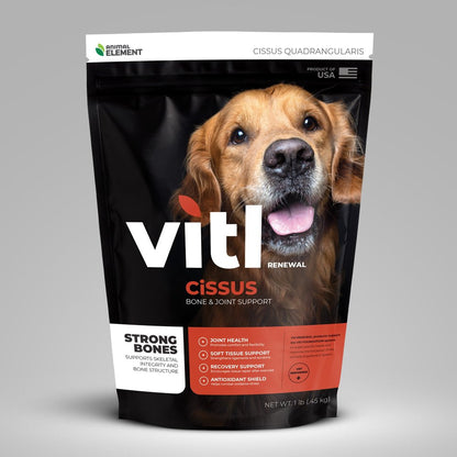 Vitl Renewal: Cissus Quadrangularis